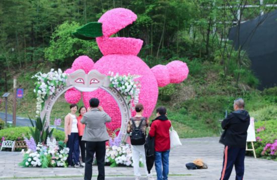 华东药用植物园。莲都文旅供图